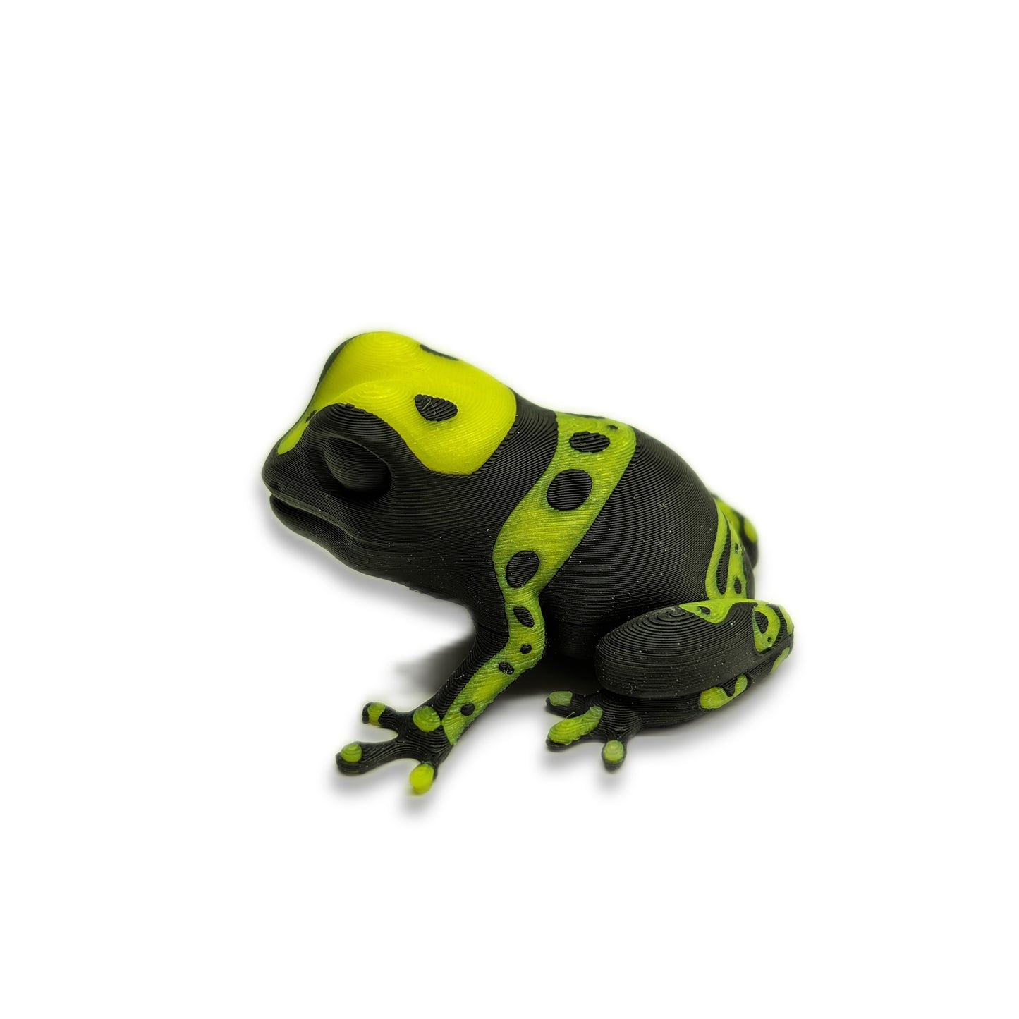 Glow in the Dark Dendrobates Leucomelas Frog