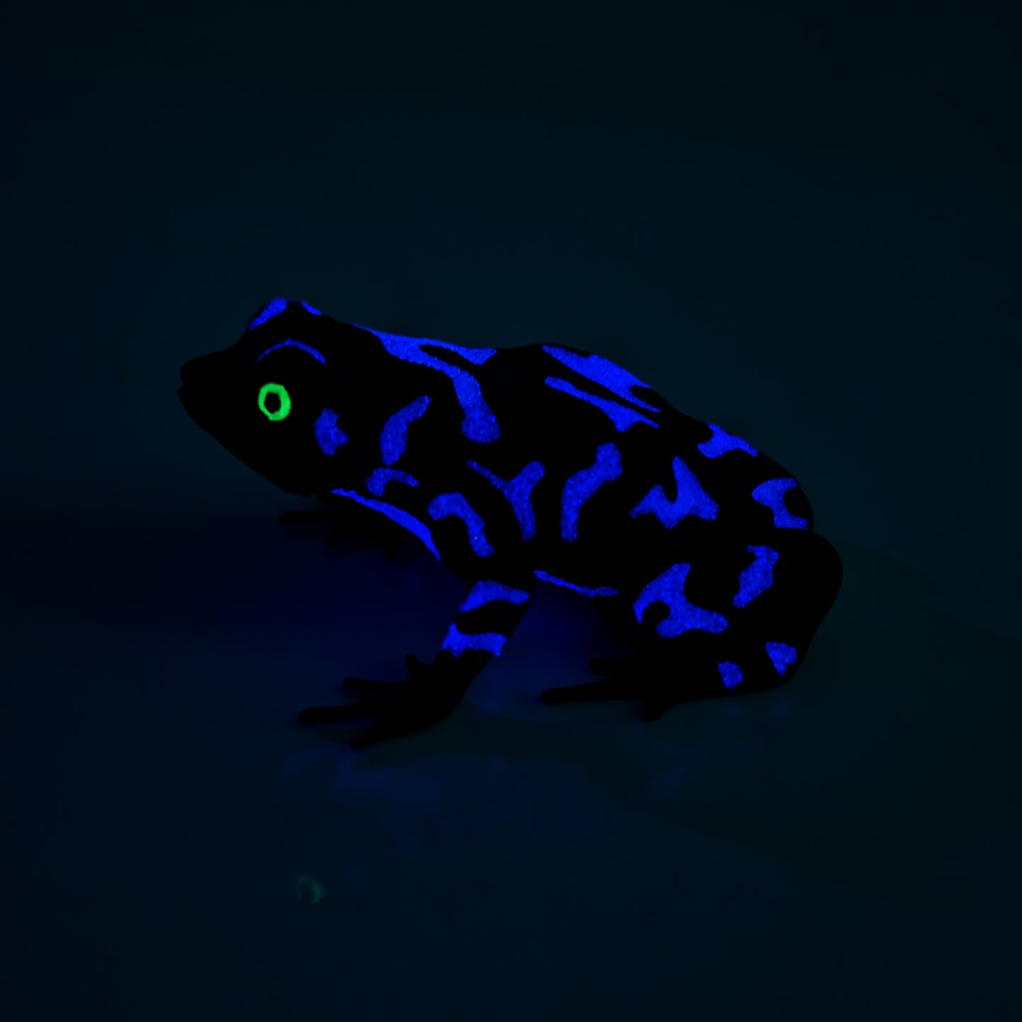 Glow in the Dark Purple Harlequin Toad