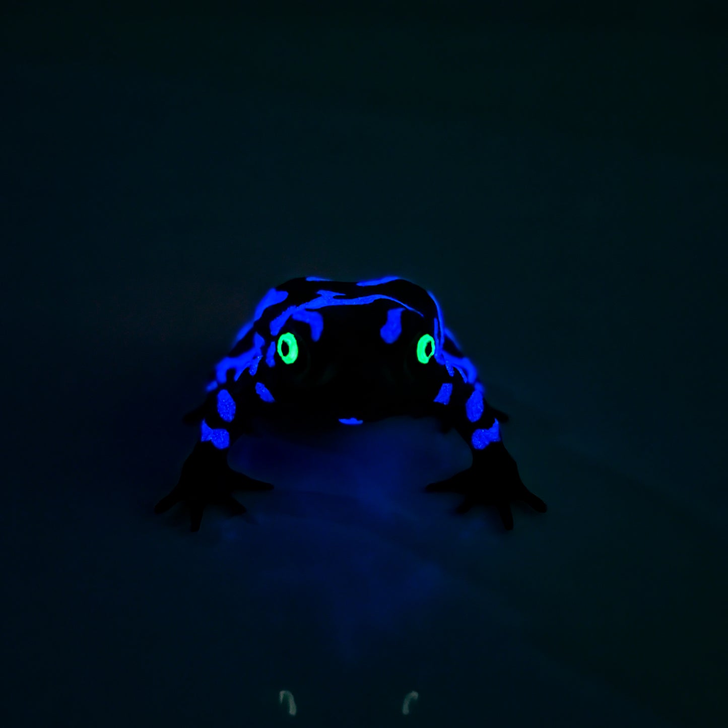 Glow in the Dark Purple Harlequin Toad