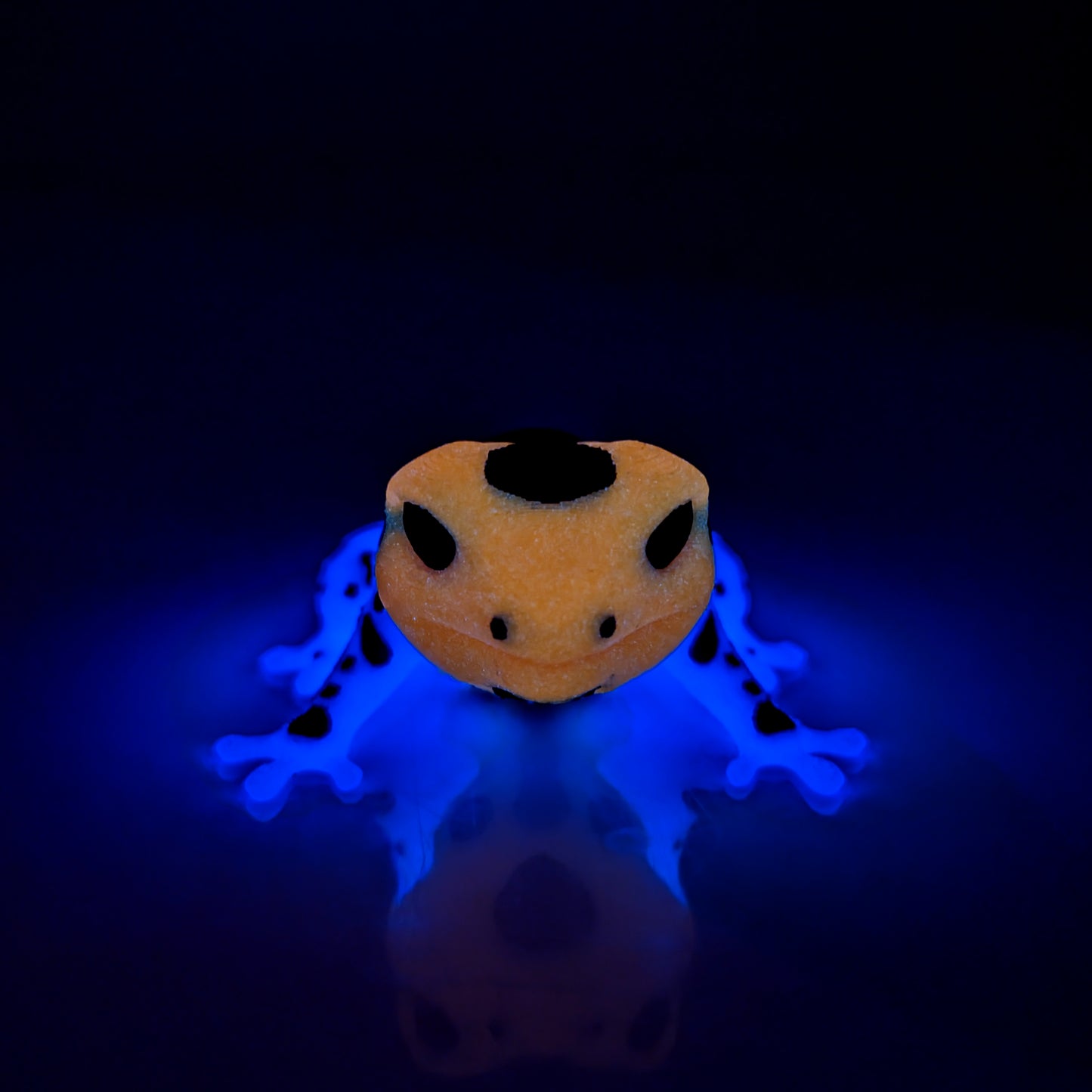 Glow in the Dark Ranitomeya Imitator Varadero Frog